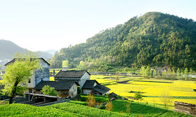 农村废水治理
