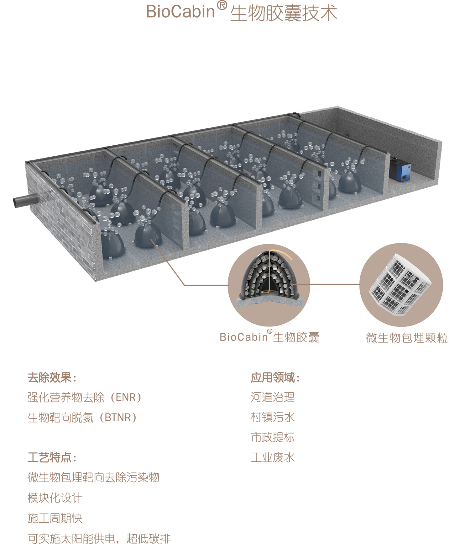 生物胶囊技术